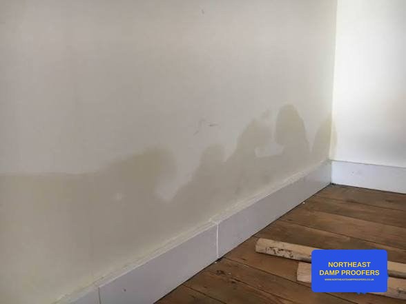 Rising damp tide mark staining on a plastered wall